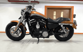 2014 Harley-Davidson 1200 Custom (XL1200C)