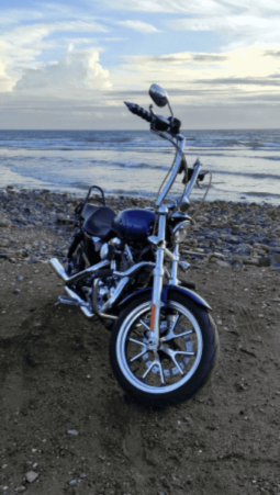 
										2015 Harley-Davidson SuperLow 1200T (XL1200T) full									