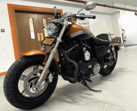2014 Harley-Davidson 1200 Custom (XL1200C)