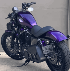 2014 Harley-Davidson Sportster (XL883)