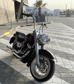 
										2018 Harley-Davidson Softail Deluxe 1690 (FLSTN) full									