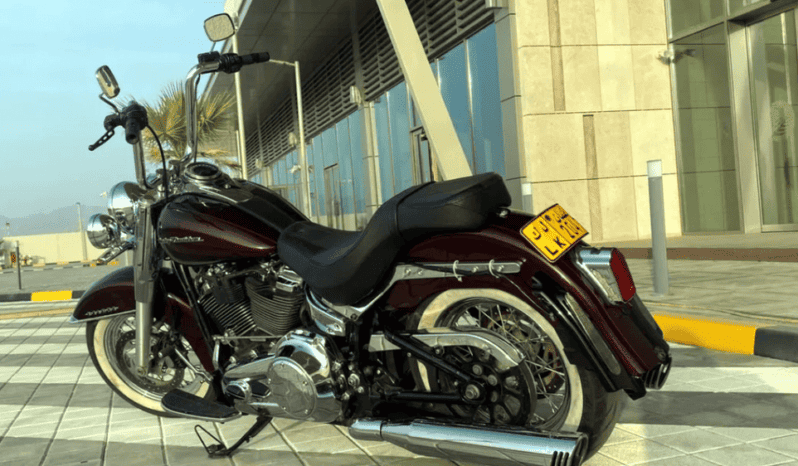 
								2018 Harley-Davidson Softail Deluxe 1690 (FLSTN) full									